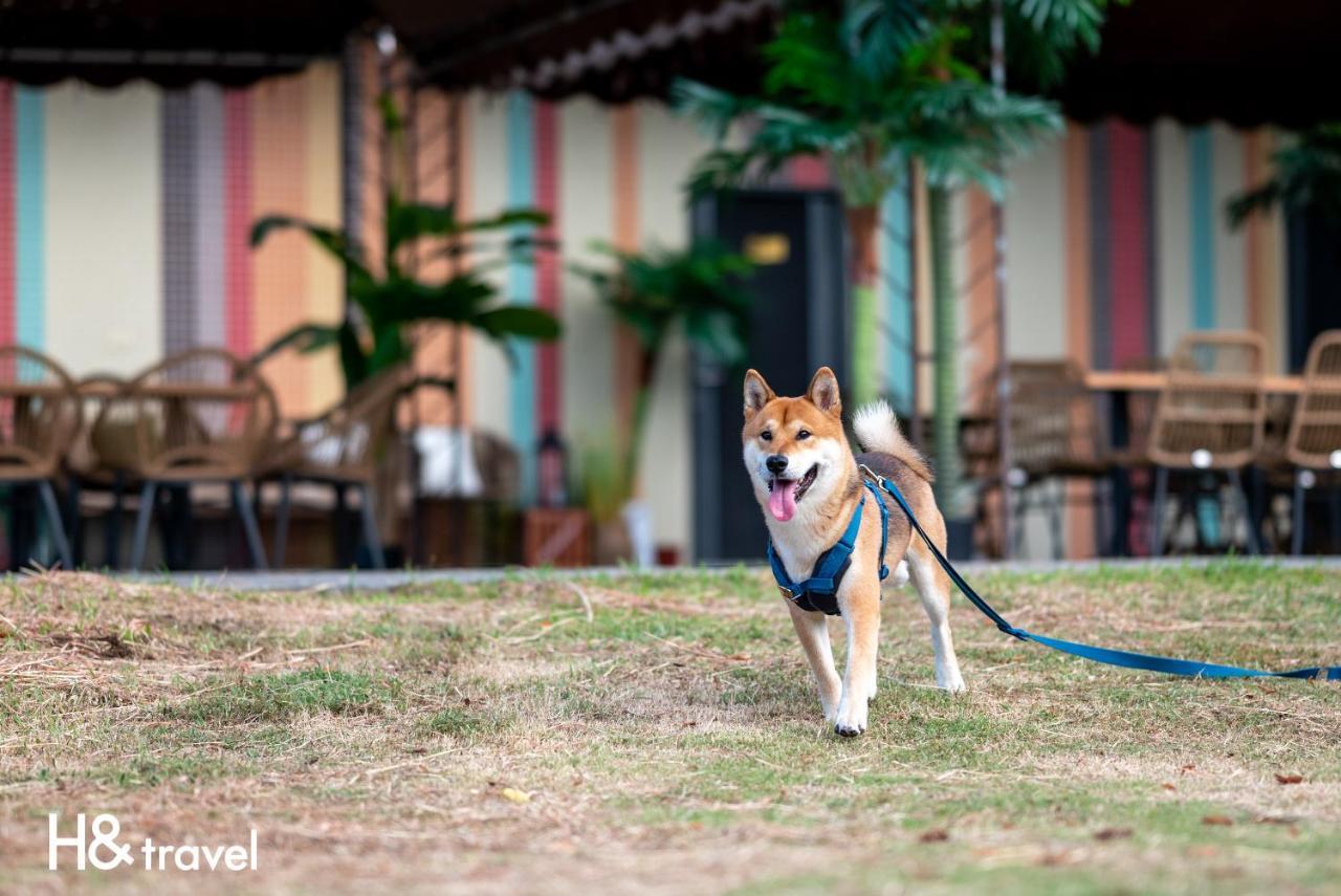 Taitung Rainbow Pet Friendly Maison Resort Exterior photo