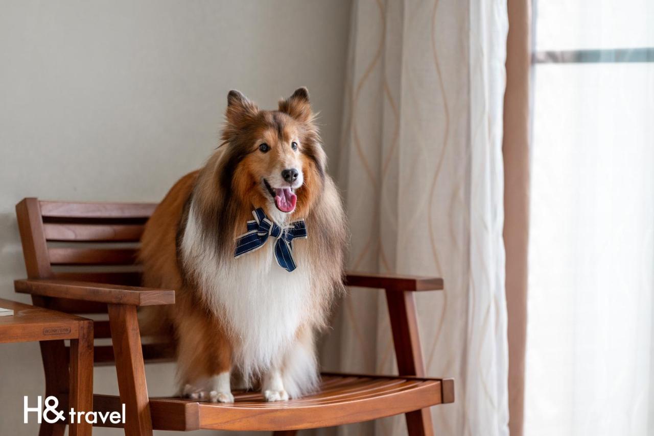 Taitung Rainbow Pet Friendly Maison Resort Exterior photo