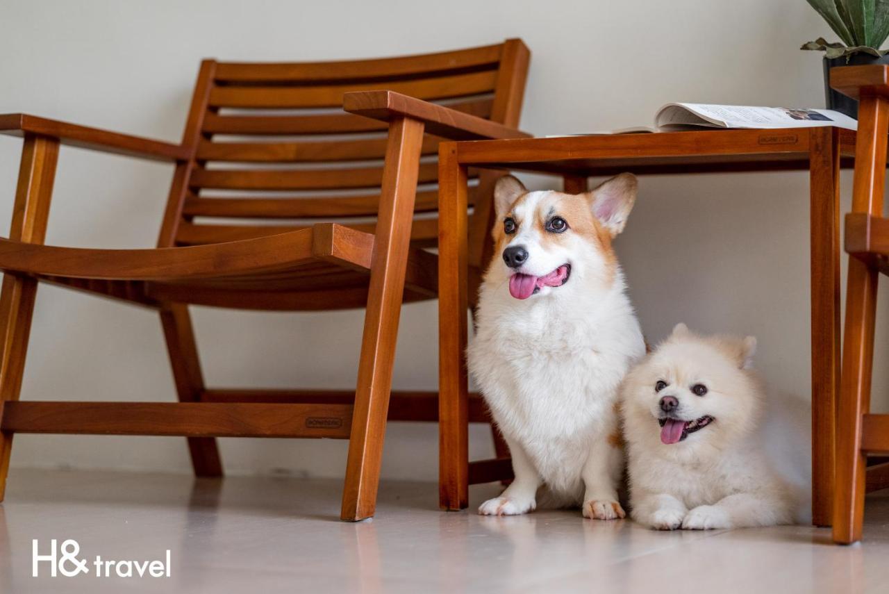 Taitung Rainbow Pet Friendly Maison Resort Exterior photo