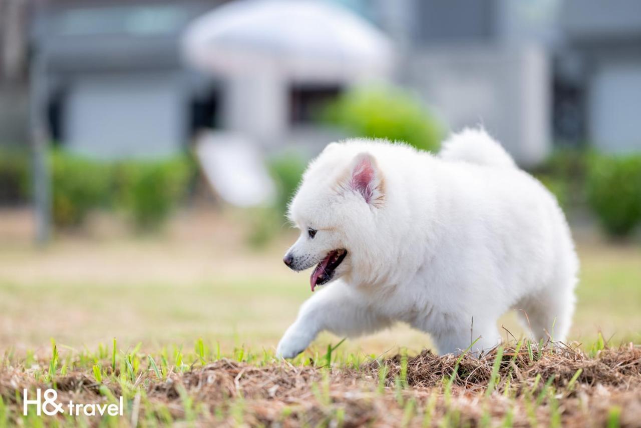 Taitung Rainbow Pet Friendly Maison Resort Exterior photo