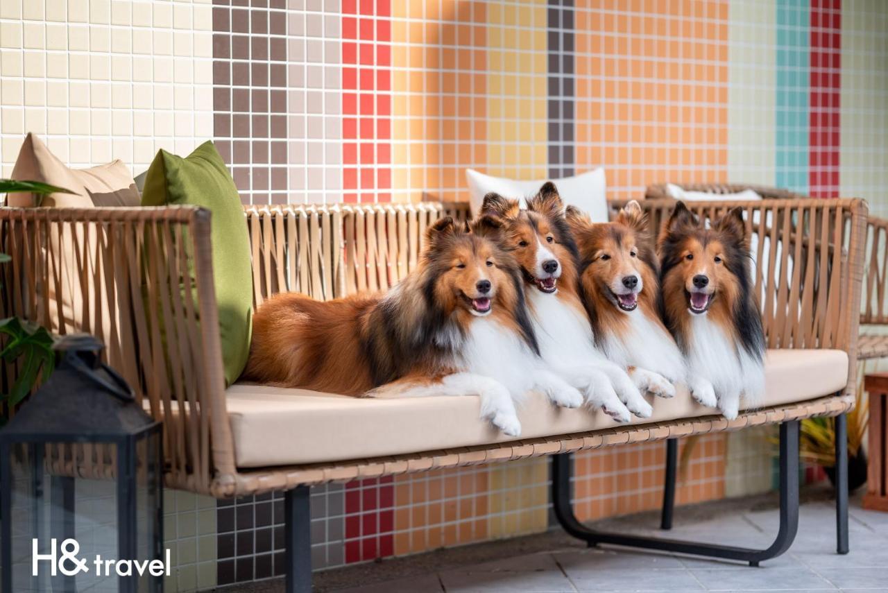 Taitung Rainbow Pet Friendly Maison Resort Exterior photo
