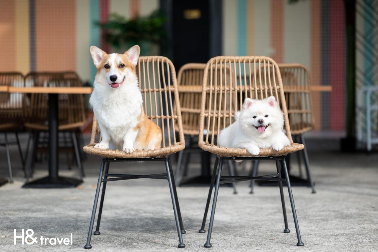 Taitung Rainbow Pet Friendly Maison Resort Exterior photo