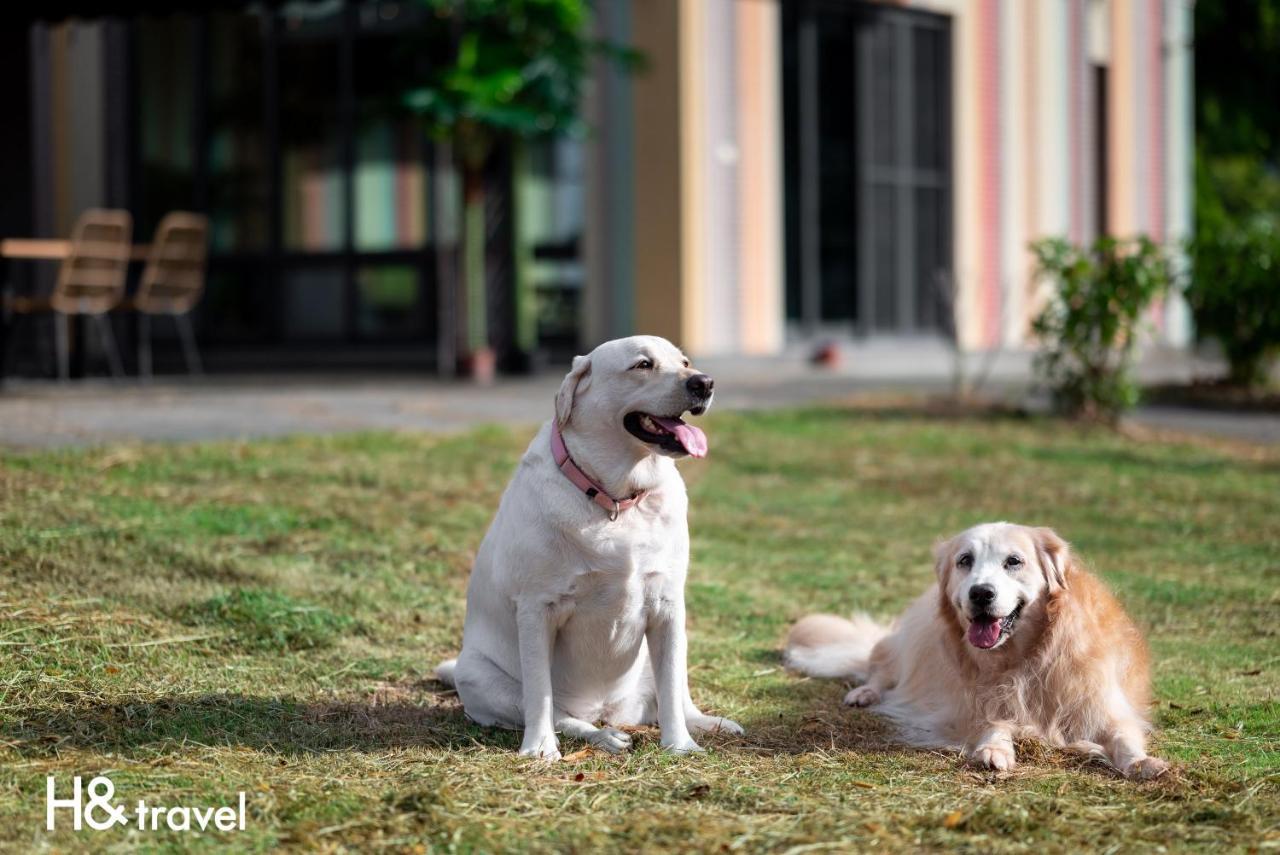 Taitung Rainbow Pet Friendly Maison Resort Exterior photo